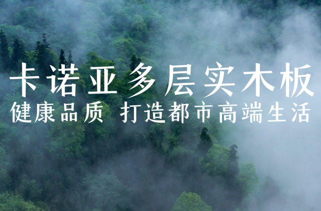 蜜柚APP免费下载多层实木板，环保品质再升级